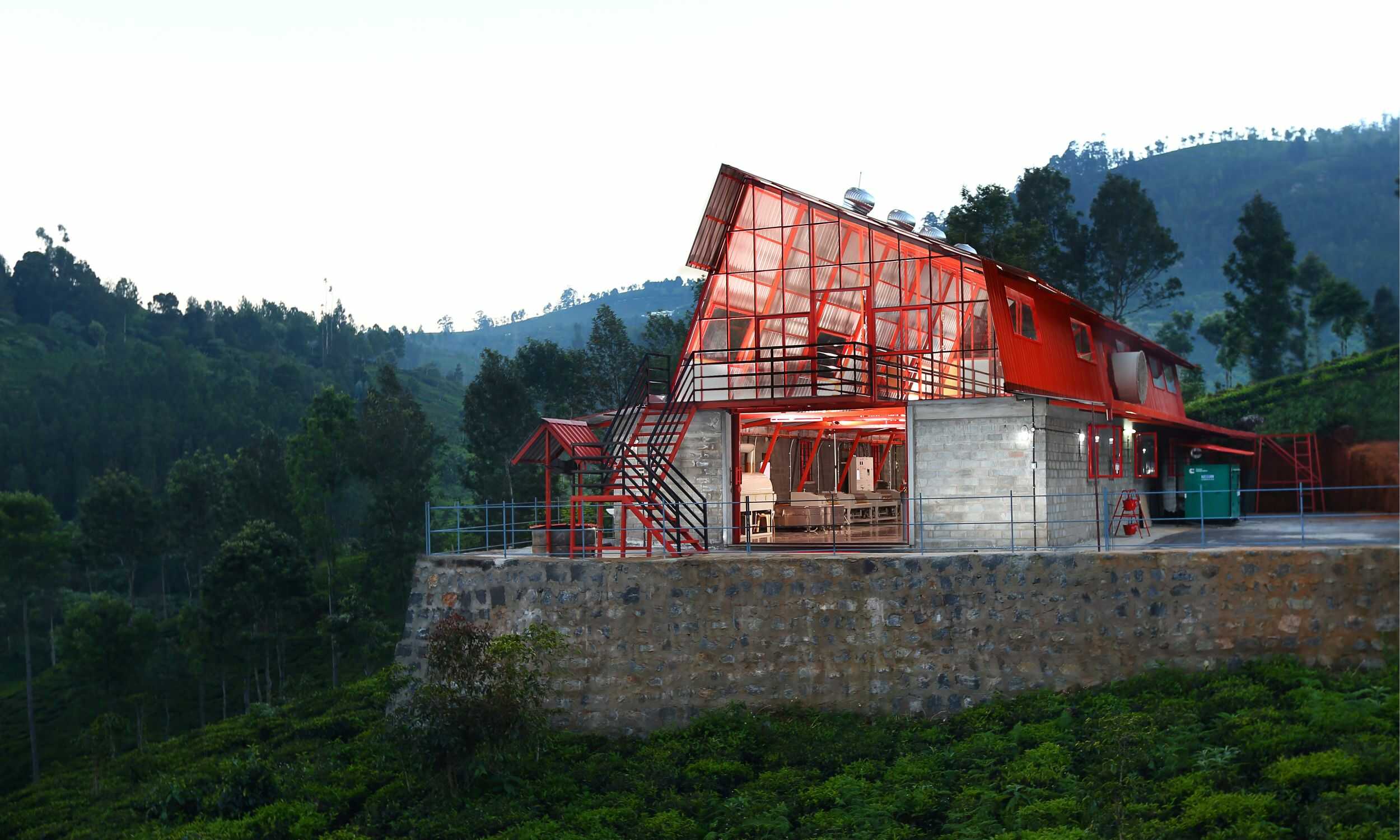 Tea Studio_1