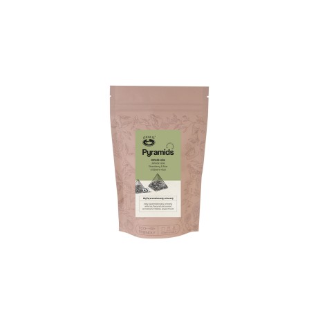 Jahoda - aloe - Pyramids, 20x2,25 g