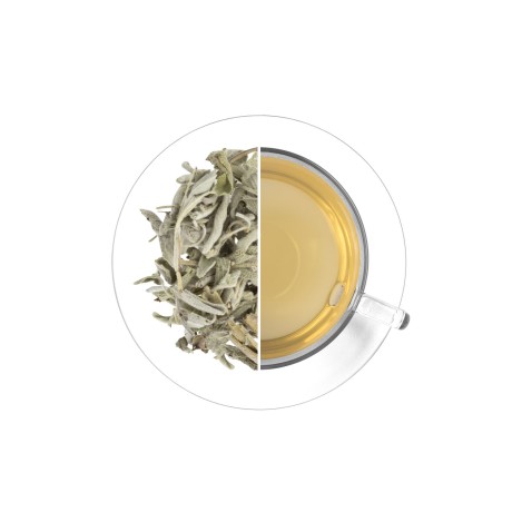 Šalvia (list), 250 g