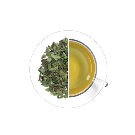 Medovka lekárska (list), 40 g