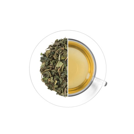 Žihľava (list), 40 g