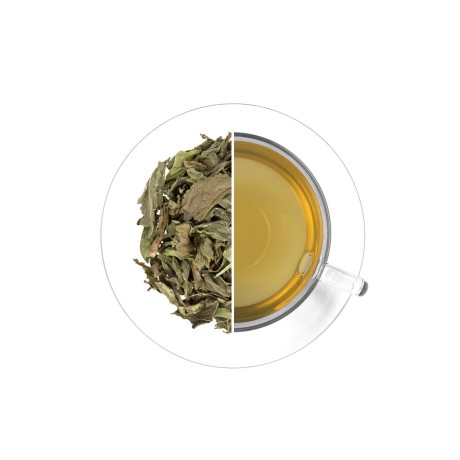 Nana - mäta (list), 30 g