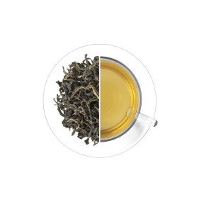 Tea Studio South India Maofeng, 500 g