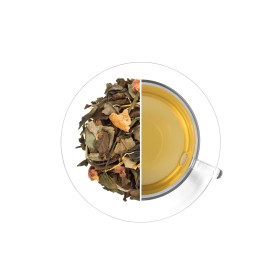 Jahoda - aloe, 30 g