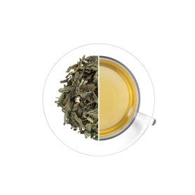 Mäta pieporná (list), 30 g